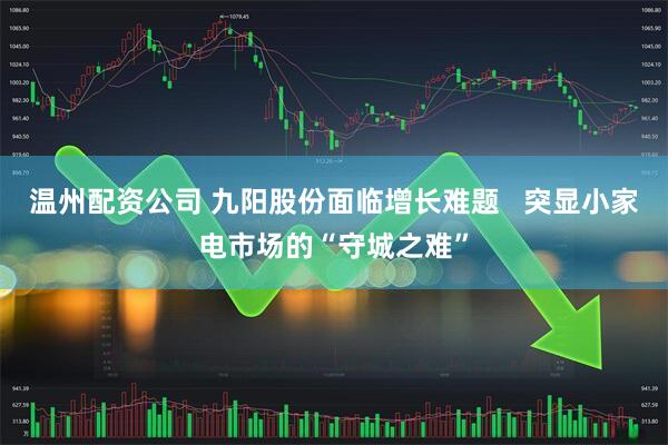 温州配资公司 九阳股份面临增长难题   突显小家电市场的“守城之难”